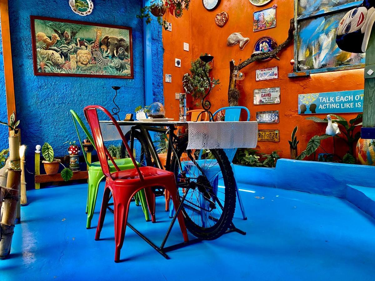 孔斯坦萨 El Patio Azul酒店 外观 照片